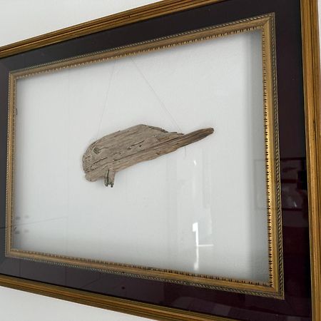Il Pesce Di Legno Appartement Livorno Buitenkant foto